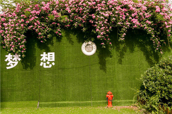 博恩藝考夢想走廊