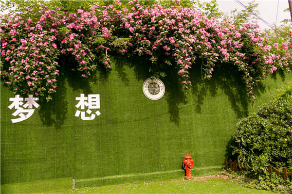 博恩藝考夢想走廊