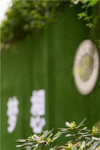 博恩藝考夢想走廊