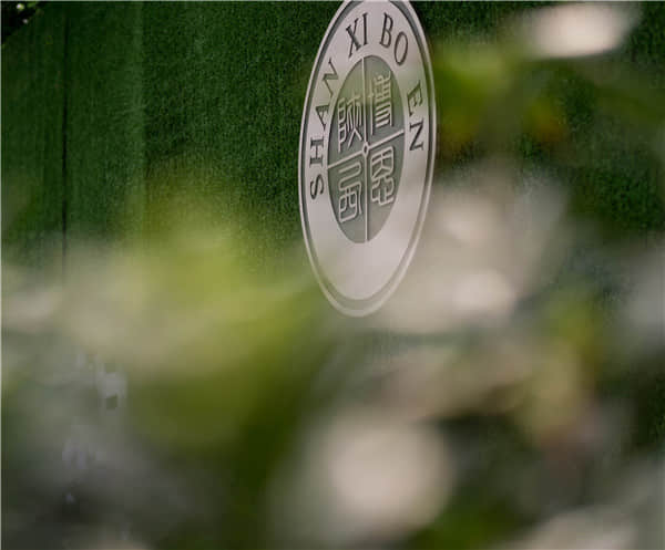 博恩藝考夢想走廊