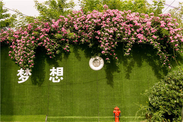 博恩藝考夢想走廊