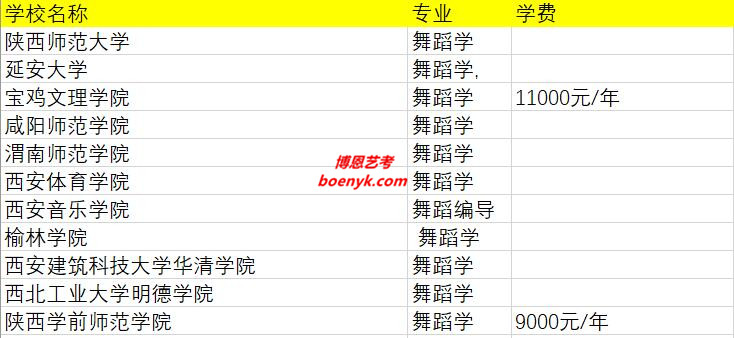 陜西省開設(shè)舞蹈類專業(yè)院校大全