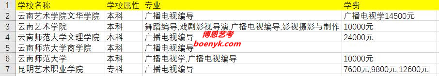 云南省開設(shè)編導(dǎo)類專業(yè)院校大全