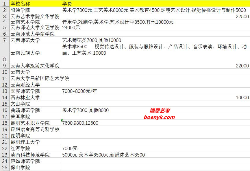 云南省開設(shè)美術(shù)類專業(yè)院校大全