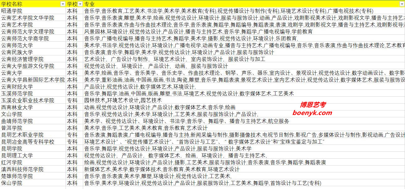 云南省開設(shè)藝術(shù)類專業(yè)院校大全