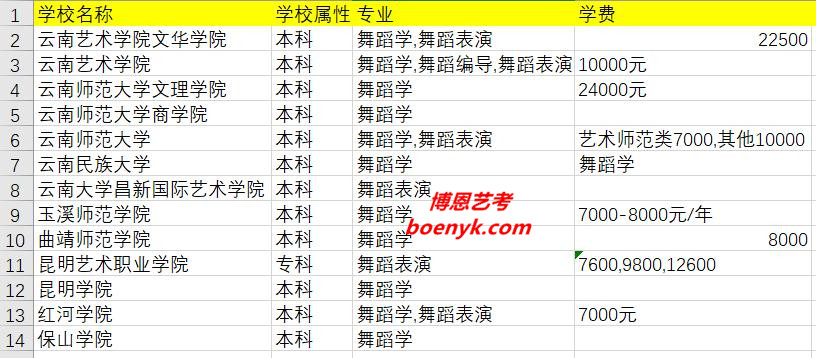 云南省開(kāi)設(shè)舞蹈類(lèi)專(zhuān)業(yè)院校大全