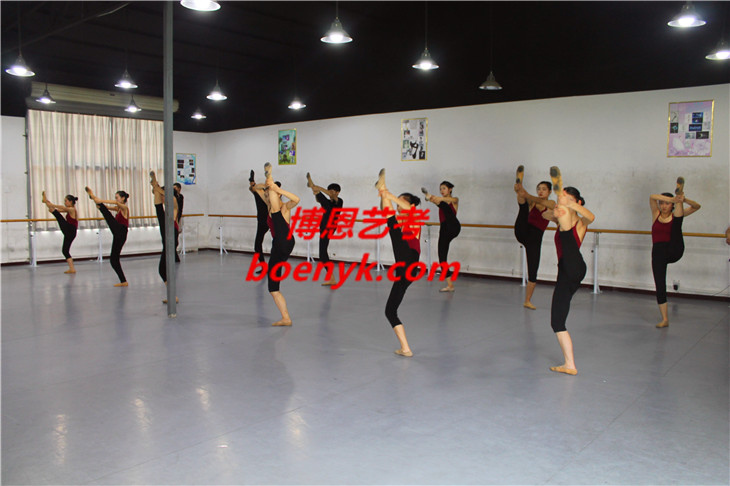 舞蹈藝考包括哪些舞蹈?舞蹈藝考有哪些專業(yè)?