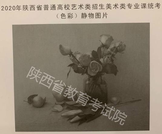 2020年陜西省美術(shù)省統(tǒng)考/聯(lián)考色彩考題