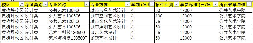 2020川美(四川美術(shù)學(xué)院)公共藝術(shù)/藝術(shù)與科技專業(yè)方向/學(xué)制/招生計(jì)劃/學(xué)費(fèi)/所在院系