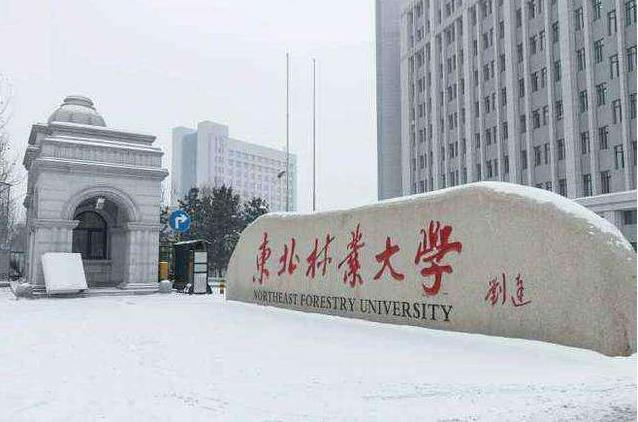 最新全國林業(yè)工程類專業(yè)大學排名