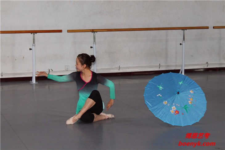 舞蹈藝考集訓(xùn)機(jī)構(gòu)_舞蹈藝考一對(duì)一培訓(xùn)