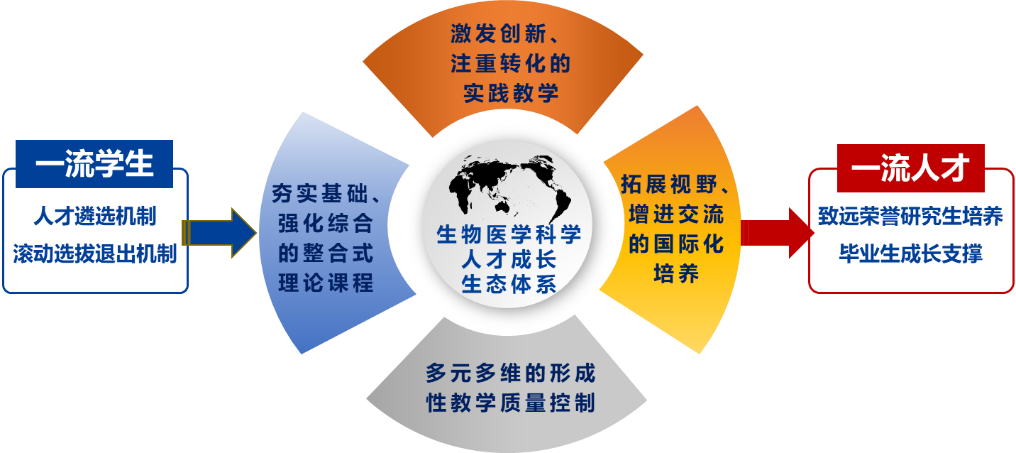 上海交通大學(xué)生物醫(yī)學(xué)科學(xué)（強(qiáng)基計(jì)劃）專業(yè)培養(yǎng)方案