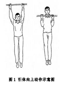 引體向上動(dòng)作示意圖