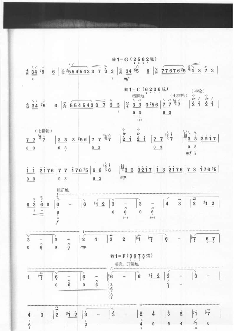 2021年中央音樂(lè)學(xué)院民樂(lè)系校考復(fù)試曲目彈撥I組琵琶-《陽(yáng)光照耀著塔什庫(kù)爾干》
