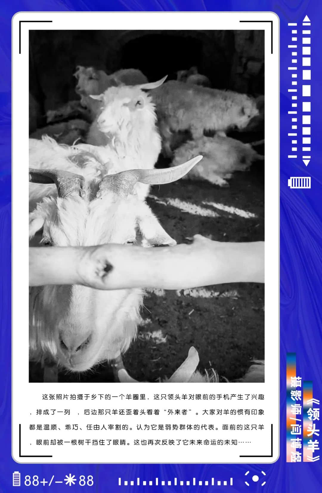 博恩傳媒2022屆攝影班第一階段作品展