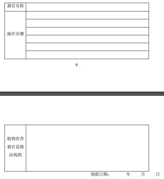 附植物營養(yǎng)器官顯微結(jié)構(gòu)觀察報告單